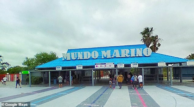 Kshamenk was first brought to Mundo Marino (pictured) in 1992 after being captured at Samborombón Bay on the coast of Buenos Aires