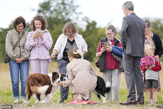 The mother of four spoke to the dogs' owner before crouching down to let them sniff her, petting them gently and even letting one jump up to lick her face