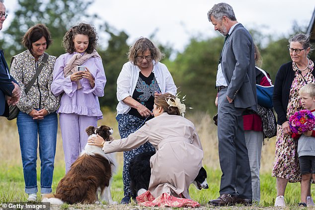 The 52-year-old looked super chic in a strapless Zimmerman dress, but the designer outfit didn't stop her from getting up close to the adorable pooches' muddy paws