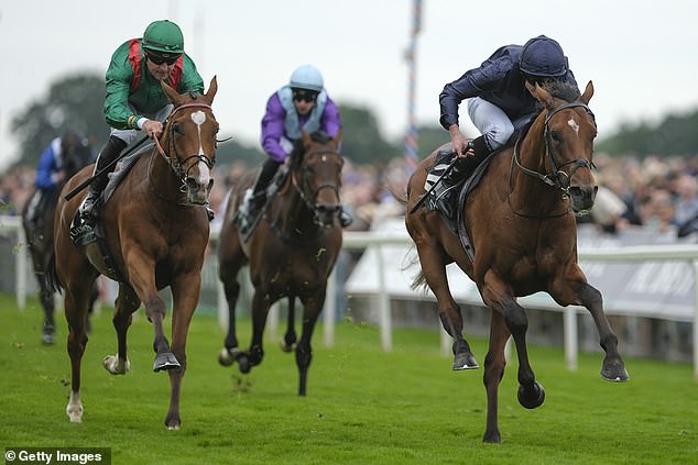 City Of Troy were sensational in winning the Juddmonte International on Wednesday