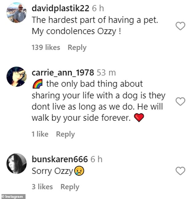 1724368067 235 Ozzy Osbourne reveals his beloved Pomeranian Rocky has died aged