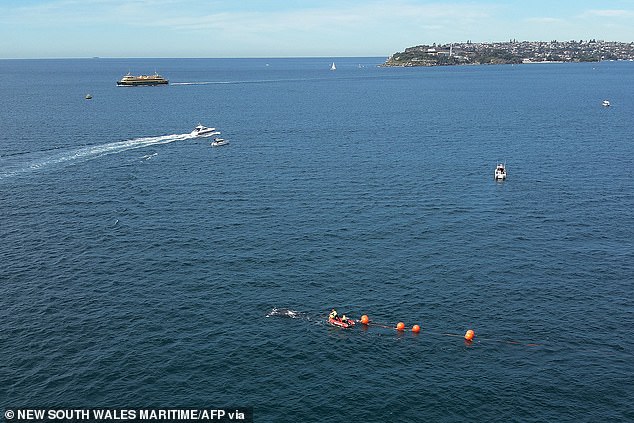 Manly's iconic ferries have been praised for adhering to the no-go zones on Friday