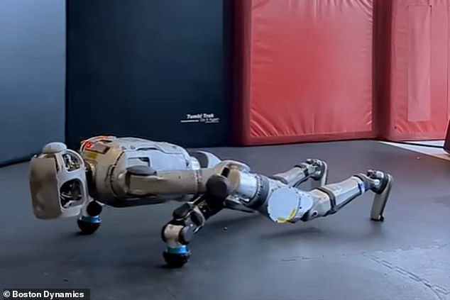 In the new video, Atlas plants his feet wide apart before squatting down and placing his hands on the floor. He jumps his feet back before performing eight impressive push-ups