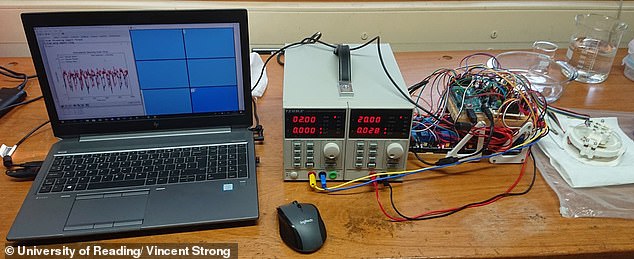 The hydrogel 'learned' to play thanks to the movement of charged particles that accumulated in areas where the ball was simulated most often. In this experiment (pictured), the jelly reached its peak performance after 20 minutes of practice