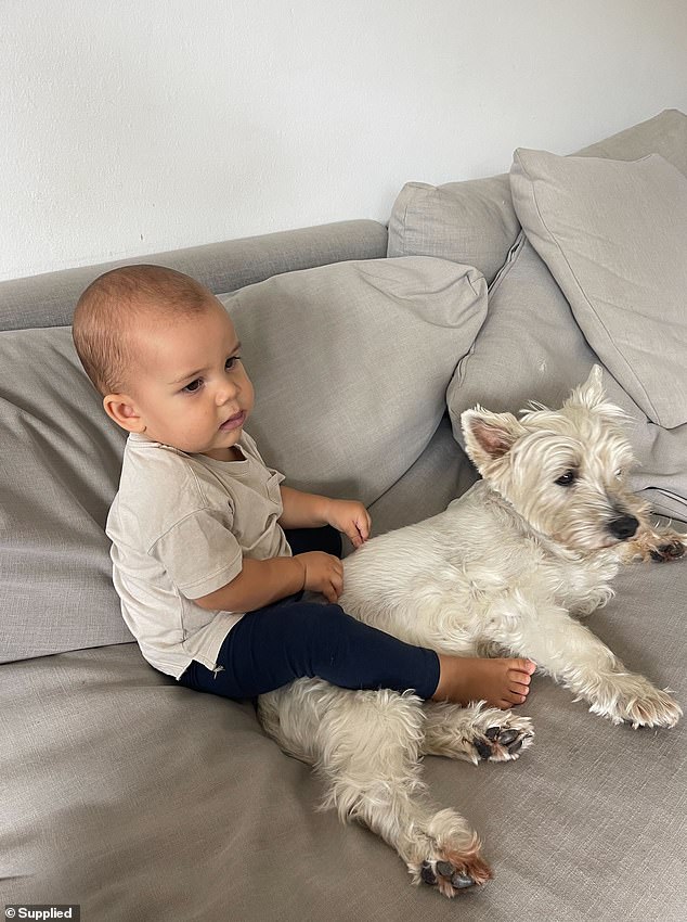 The couple's son, Felix, with his dog brother Oscar