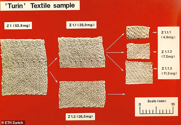 The 1988 study was conducted in three labs: the University of Arizona, Zurich in Switzerland, and the University of Oxford in the United Kingdom. Each lab received a strip of the original piece that had been cut, which was then reduced to smaller sizes for the study