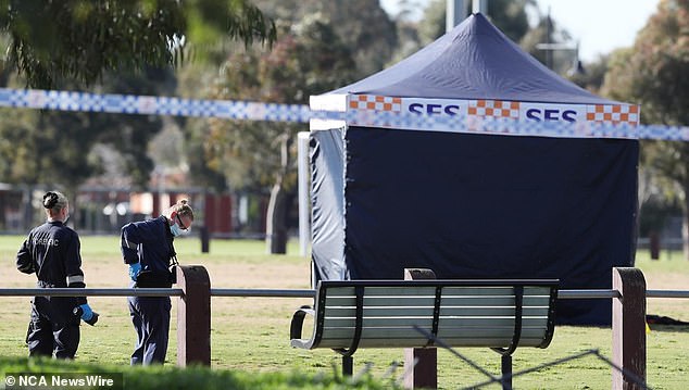 Some people in the park performed CPR on the victim before emergency services arrived