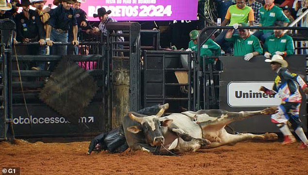 Jaxton Mortensen, one of three Americans competing in a bull riding event in Brazil, was nearly crushed to death after the bull slipped and fell to the ground