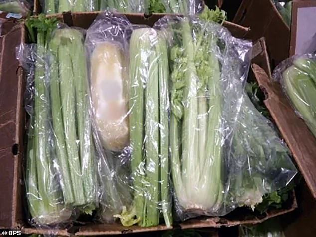 Just one week earlier, on August 9, another drug bust was made in a huge shipment of celery, containing 508 packages