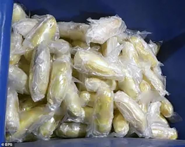 The K-9 unit deployed a sniffer dog, which spotted the meth in the celery, resulting in an estimated value of $755,000