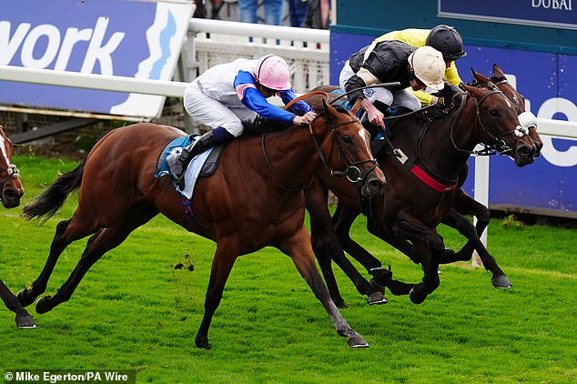 The Royal Family will also present the trophy to the winner of the Ebor Handicap, the oldest race in the organisation's history dating back to 1843.