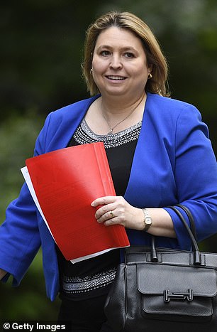 Dame Karen Bradley, a Conservative MP and mother of sons aged 18 and 20, added: 'It seems like the worst kind of box-ticking and a waste of effort and time by councillors'