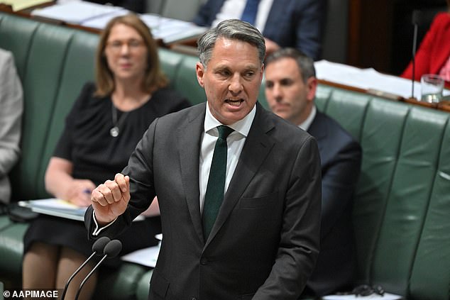 Deputy Prime Minister Richard Marles dodged questions about the impact of the result at a federal level, saying local issues such as crime were to blame for Labor's loss