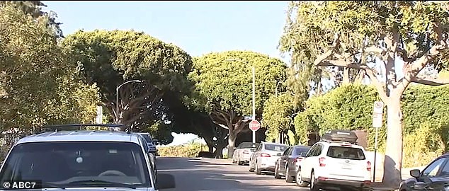 Police were called to Maple Street, a neighborhood in Santa Monica where the kidnapping attempt was thwarted.