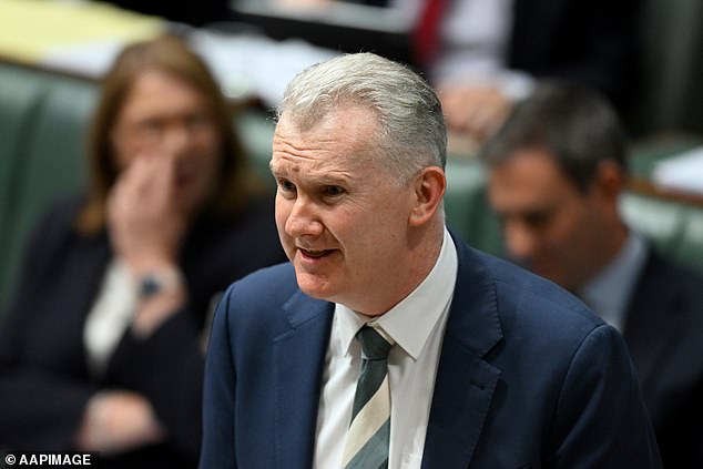 Home Secretary Tony Burke, who has ministerial powers to refuse visas, said he would 