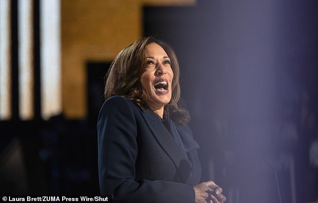 Harris and Democrats said last week at the National Convention in Chicago that the border can be secured and asylum seekers can enter the US at the same time.