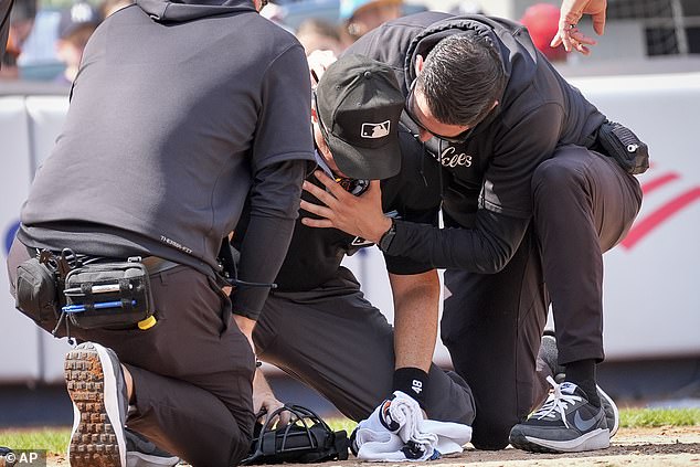 The match was stopped for about 16 minutes on Sunday so that Mahrley could receive help