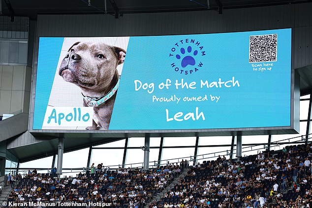 Tottenham have launched an official supporters club for their dog-loving fans