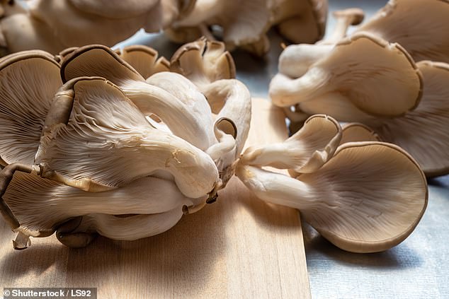 Dyson uses fungal chitosan, derived from the cell walls of oyster mushrooms, as the active ingredient in its hair serum (archive photo)