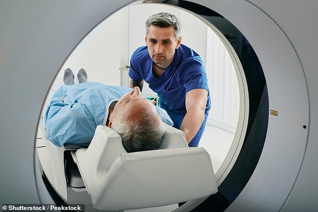 Researchers want to create a digital tool that radiologists can use when scanning patients to determine their risk of dementia and diagnose early stages of related diseases (file photo)