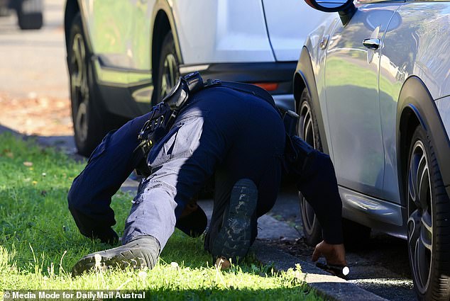 Pictured: A police officer searches under a car