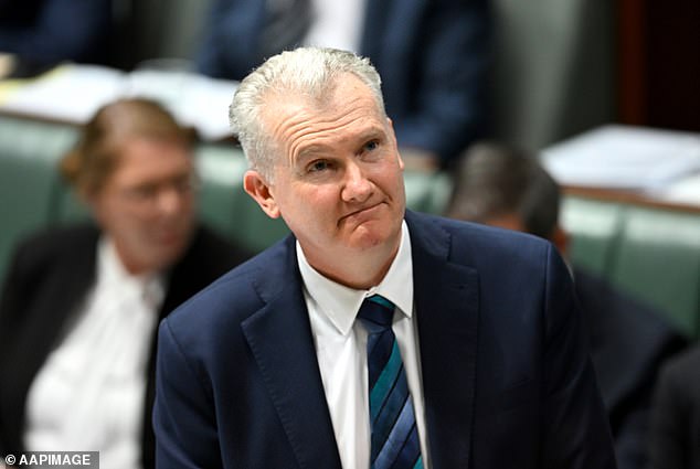 Australian Home Affairs Minister Tony Burke (pictured) said on Friday he would personally oversee Ms Owens' application for a planned tour of her live podcast