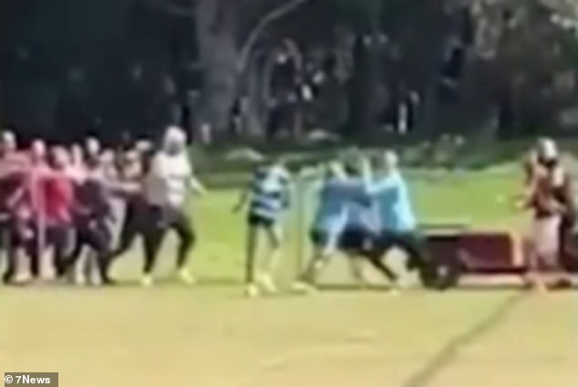 Two men, aged 39 and 36, were involved in a brawl during the U13 Division 1 semi-final between Bankstown Balls and Cabramatta on Saturday