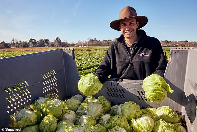 Matt Vela, a third-generation lettuce farmer from Camden, is one of the dedicated farmers behind McDonald's delicious dishes