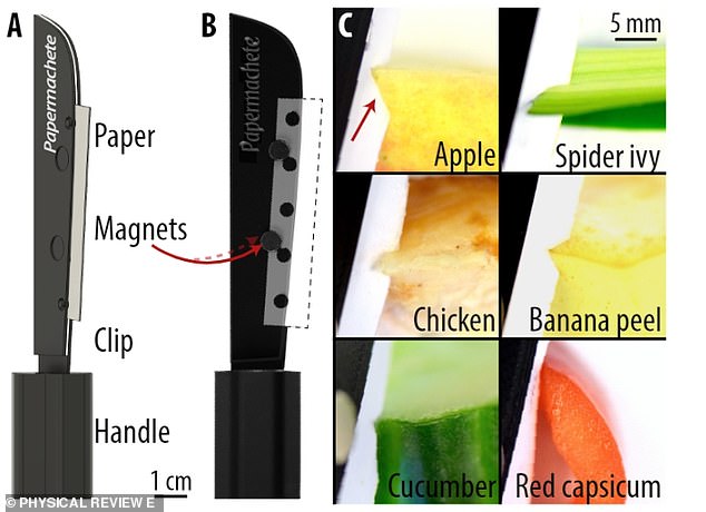 The researchers also developed the 'Papermachete', a paper-based scalpel that can 'easily' cut through vegetables and meat