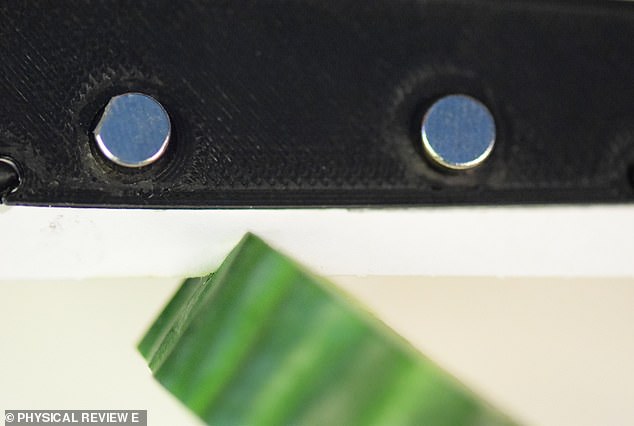 Close-up of the Paper Machete sliding through cucumber. The tool is not suitable for 'carving wood and spreading butter', the researchers add