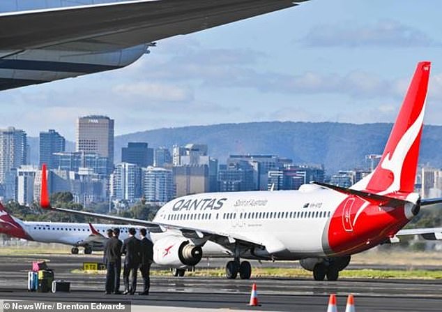 Qantas has confirmed the flight prices were caused by a system error and staff are helping customers affected by the sale (stock image)