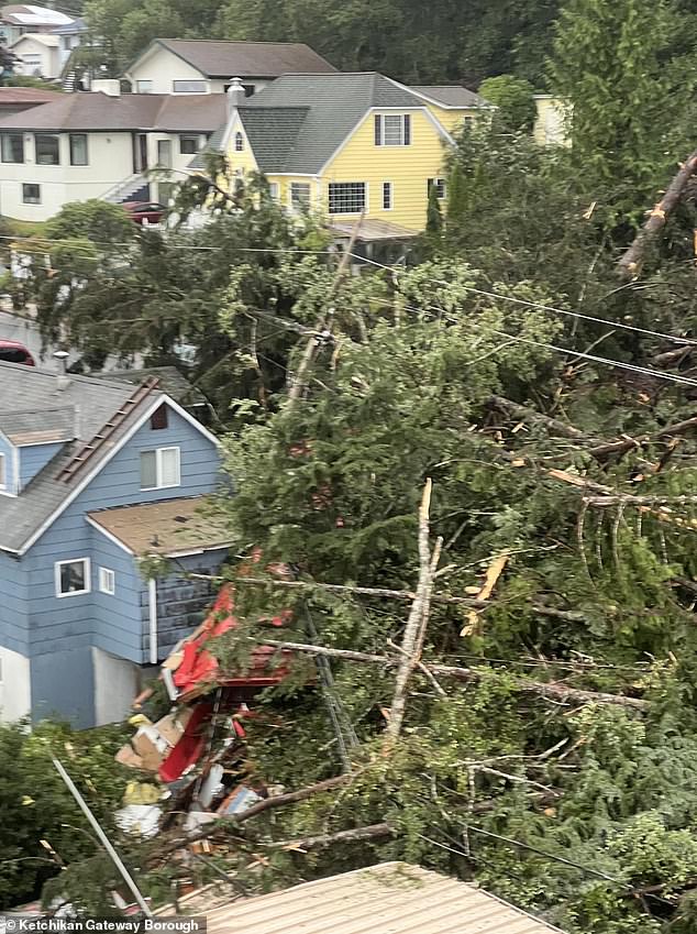 Images show the devastation in the small town, with trees thrown against houses