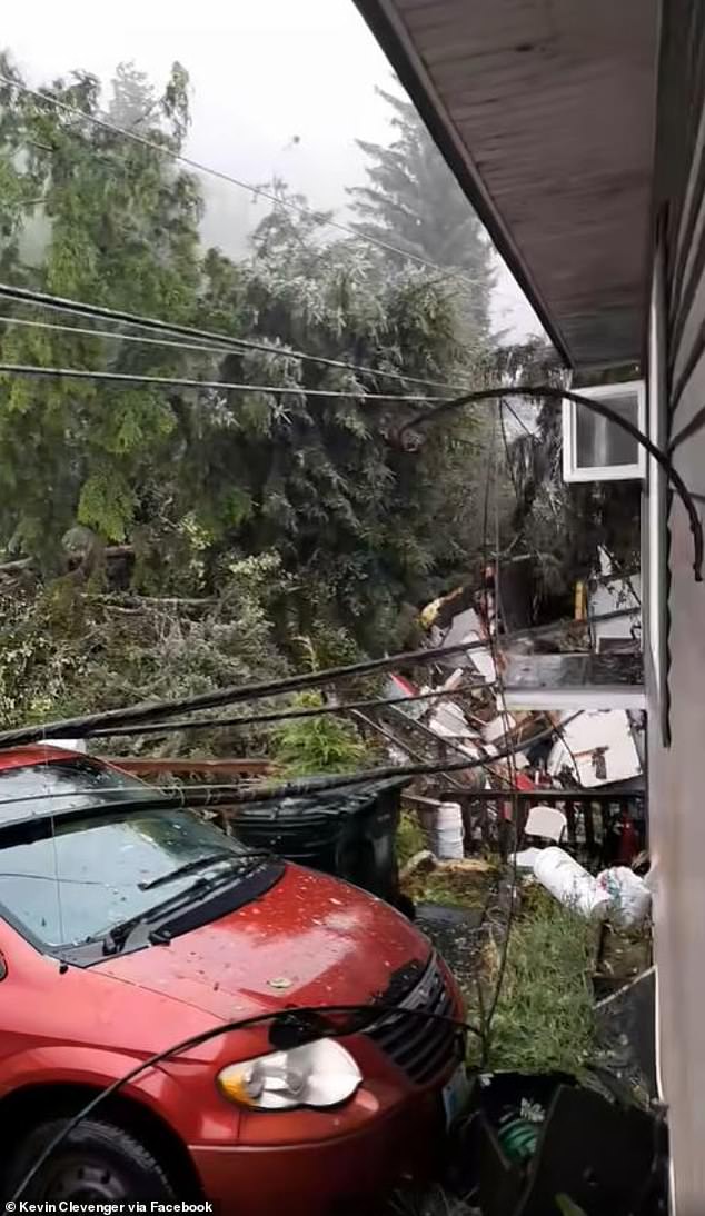 Electrical wires fell on cars and trees fell through houses