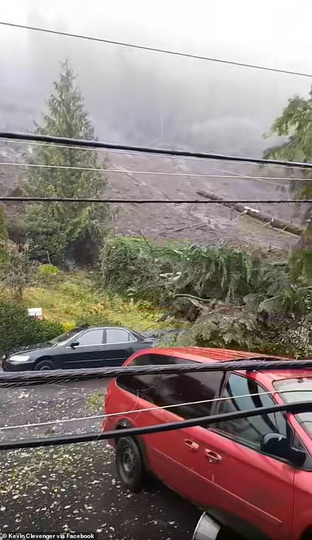 Damaged roads and fallen trees remain after the deadly landslide