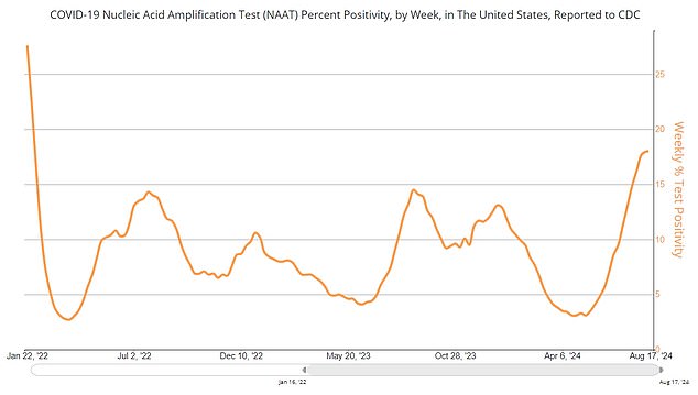 The number of Covid cases has risen in recent weeks, which experts say is likely driven by summer travel and gatherings