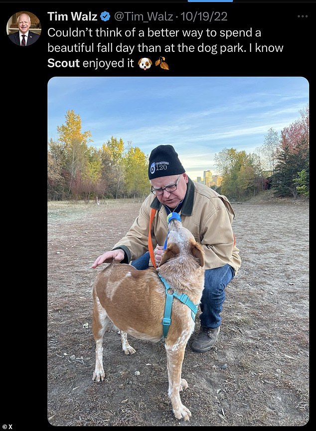 Meanwhile, the photo on the right was taken months later and showed Walz with another dog. The caption read: 'Couldn't think of a better way to spend a beautiful fall day than at the dog park. I know Scout enjoyed it'