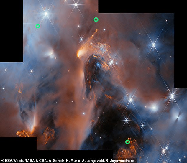 The green circles in this image mark three of the rogue worlds discovered by JWST, hidden in NGC1333.