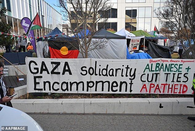 Pictured: Banners at a pro-Palestine protest at the Australian National University in Canberra