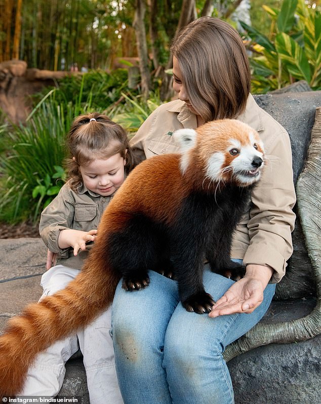 Some fans were quick to question whether Teddy the panda was actually photoshopped to appear as if he was standing on Bindi's lap in the second image.