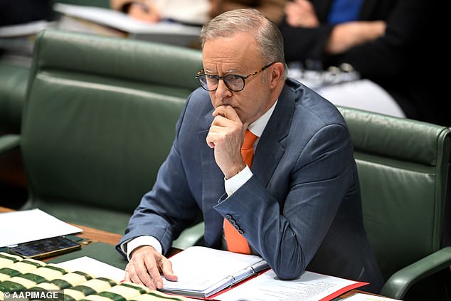 Mr Albanese said the new rules would increase companies' productivity during working hours