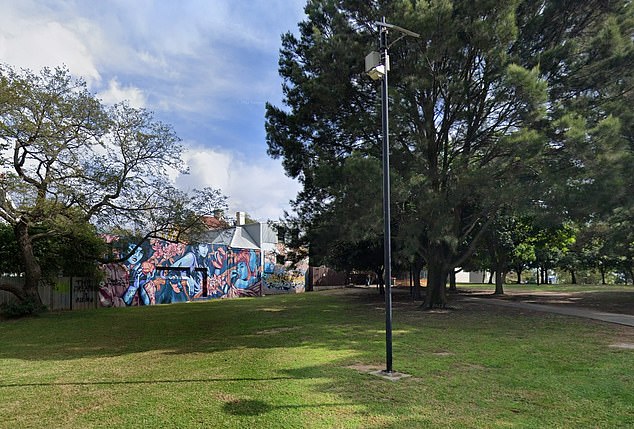 The deck would take up just 323 sq ft of Camperdown Memorial Park (pictured)