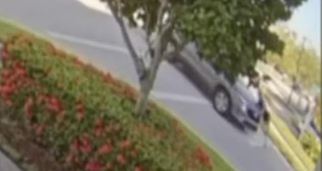 Shocking video shows gray SUV hitting woman and her baby in stroller