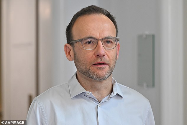 Greens leader Adam Bandt (pictured) will not support a minority Labour government without policy concessions