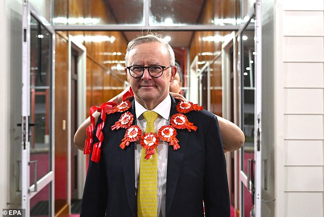 Anthony Albanese (pictured) will have to stick to the Greens' radical policy agenda if he loses his majority at the next election