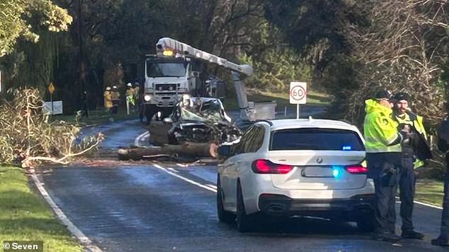 The male driver died on the spot (photo) while his female passenger was taken by helicopter to hospital, where she is fighting for her life