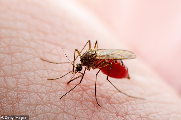 Rising global temperatures are fueling an increase in mosquito-borne diseases in the US.