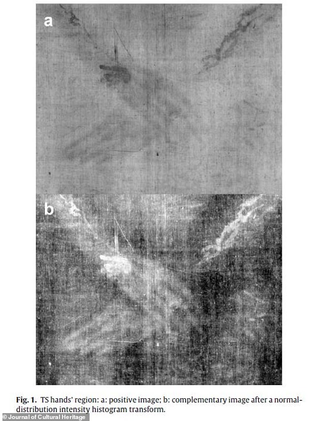 The absence of thumbs on the Shroud of Turin's imprint is considered one of the most important pieces of circumstantial evidence that the Shroud was used to wrap the body of a crucified man.