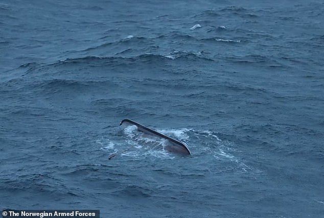 An image of the sunken Viking ship released by Norwegian authorities