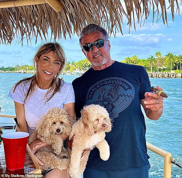 Over the past decade, the demand for crossbreeds has increased significantly, with many now surpassing the popularity of their parent breeds. Pictured: Sylvester Stallone and his Cavapoo, Billie