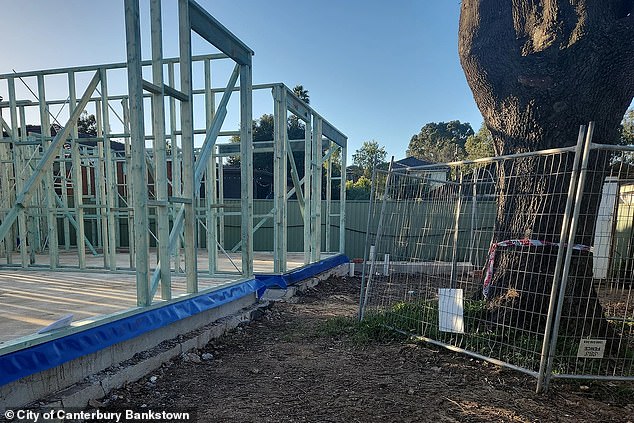 The developer was in the process of building duplexes on the site (pictured) and a city inspection revealed that excavation work was being carried out in a tree protection zone